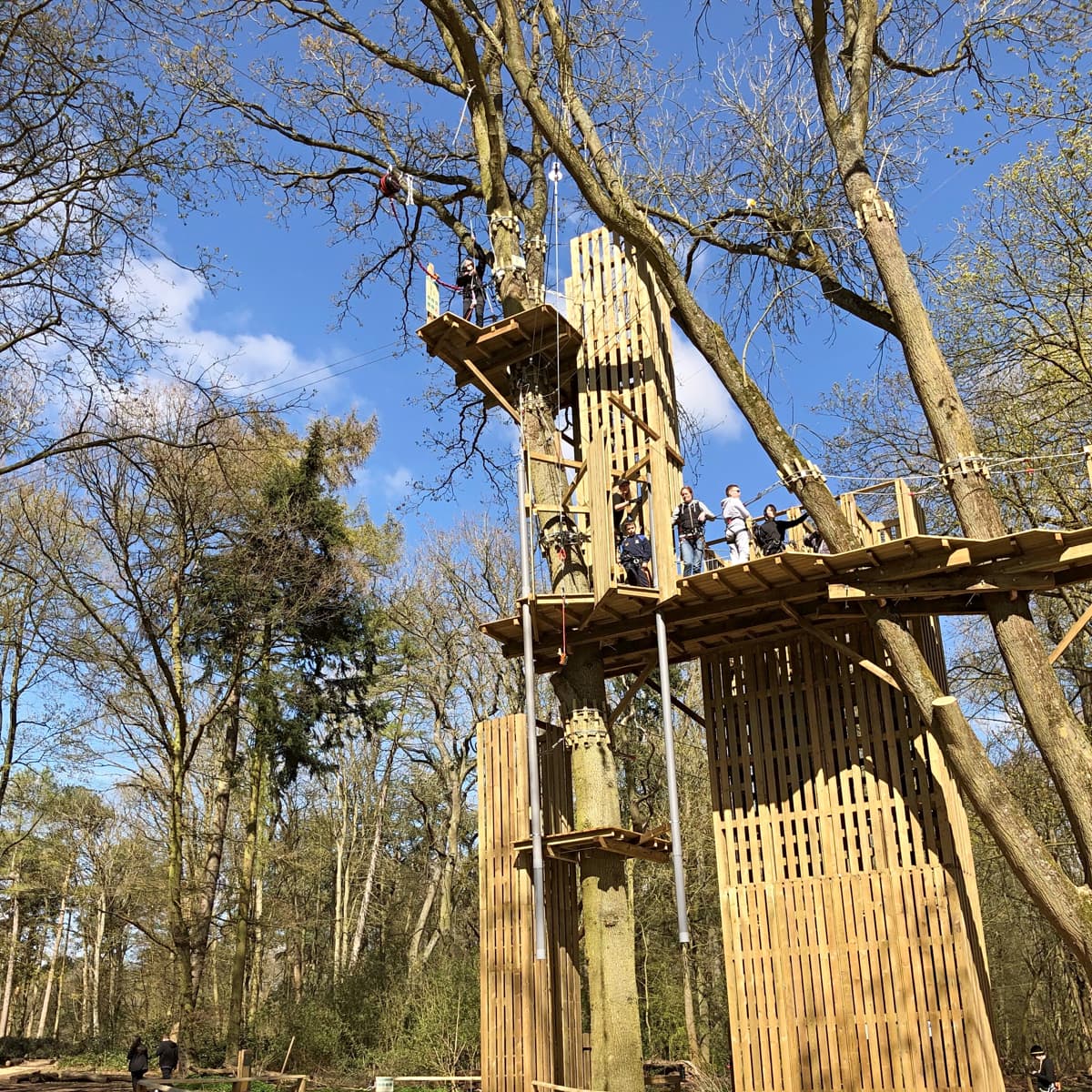 Go Ape deals at Coombe Abbey