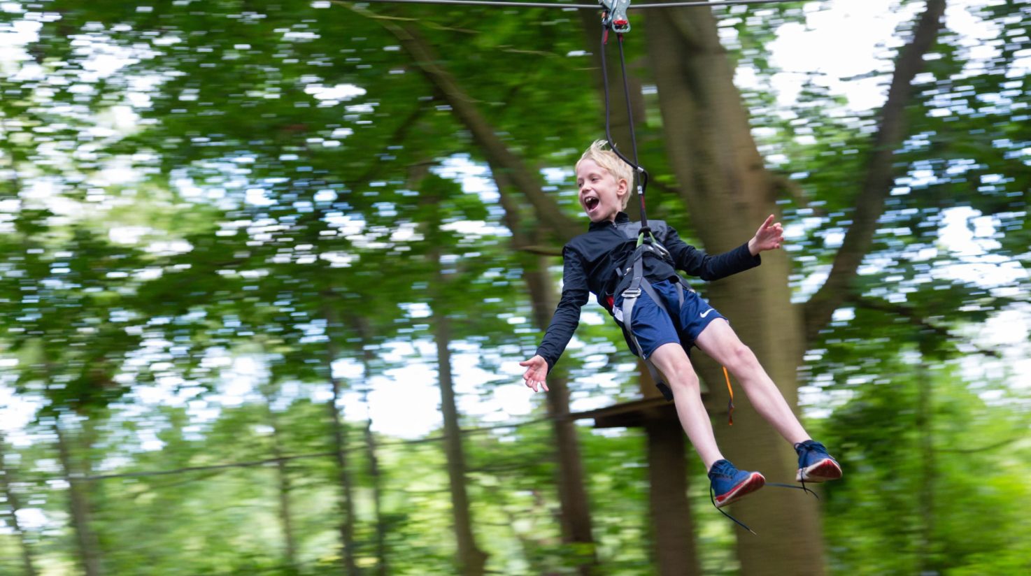 Go Ape at Coombe Abbey