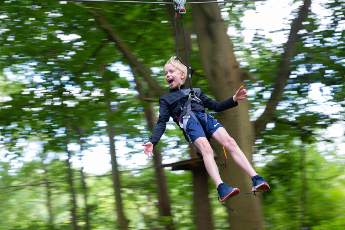 Go Ape Coombe Abbey