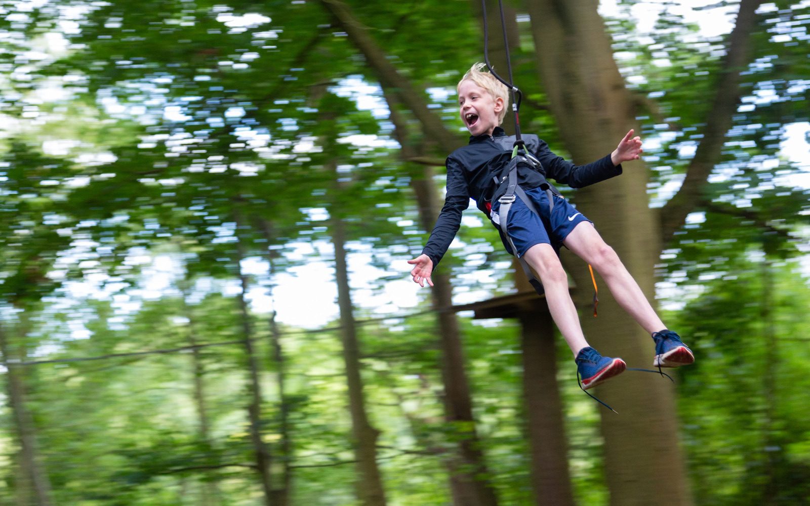 Go Ape at Coombe Abbey Park