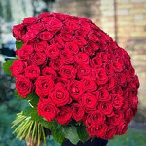 100 red rose hand tied